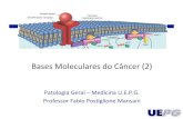 Patologia Geral Aula 18 Bases Moleculares Do Cancer 2