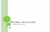 Biomas Brasileiros Aula Yanna