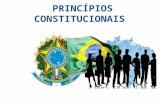 PRINCÍPIOS CONSTITUCIONAIS.ppt