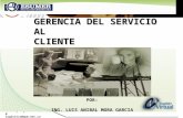 8. Gerencia del Servicio al Cliente (Enfoque LogÃ-stico)
