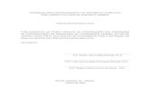 Msc Coppe 2004 - Programa para Dimensionamento de Reforço à Flex_o e ao Cisalhamento de Vigas de Concreto Armado_Roberta