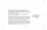 brasilianização da america e americanização.pdf
