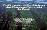 Corredores Ecologicos Das Florestas Tropicais No Brasil