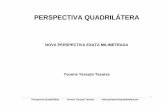 Livro Perspectiva Quadrilatera