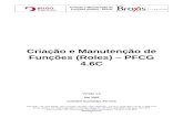 Manual Criação Manutenção de Função - PFCG