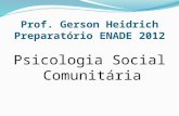 SLIDES PSICOLOGIA SOCIAL COMUNITÁRIA ENADE 2012