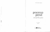 Fernando Capez - Processo Penal Simplificado (2012)