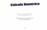 34413174 Calculo Numerico en Portugues