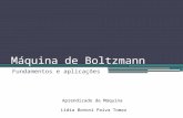 Ma q Boltzmann