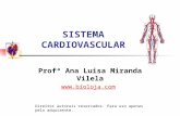 Apres Sistema Cardiovascular Bioloja v2
