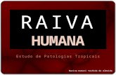 Raiva Humana - Estudo de Patologias Tropicais