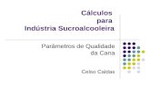 Curso de Cálculos STAB 02 - Parâmetros Tecnológicos da Cana