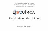 10 Metabolismo de Lipídios Graduação PDF