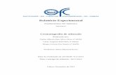 Relatorio - Cormatografia por adsorção (final).pdf