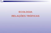 03 ecologia - relacoes troficas