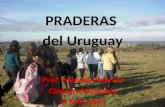 Praderas Del Uruguay