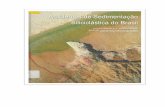 livro ambientes de sedimentação siliciclástica do brasil