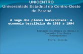 A Saga Dos Planos Heterodoxos 1985a 1994