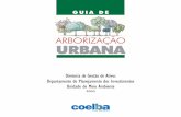 Arborizacao Urbana