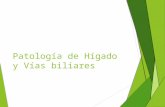 Patologia de Higado y Vias Biliares