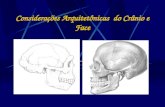 Considerações Arquitetônicas  do Crânio e Face.ppt