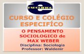 Max Weber e a Teoria Da Acao Social