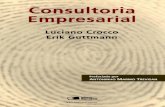 Consultoria Empresarial - Luciano Crocco e Erik Guttman