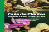 Guia de Plantas [Caatinga]
