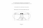 AVALIA--O F-SICA 03 - MEDIDAS ANTROPOM-TRICAS - Leonardo de Arruda Delgado - ARTIGO.pdf