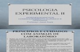Psicologia Experimental II Slide