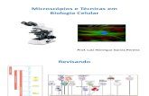Aula 2 e 3 - Microscópios e Técnicas em Biologia Celular