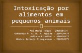 Intoxicação por alimentos em pequenos animais - apresentação