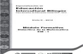 4.2.4.3.6. Modulo_Didactica_de_la_Matematica_EIB I.pdf