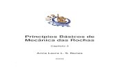 Cap 5 - Princípios Básicos de Mecânica das Rochas - 2009