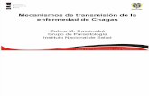 Zulmacp. Mecanismos Transmision Chagas