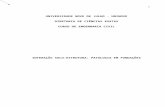 TCC II - INTERAÇÃO SOLO-ESTRUTURA_PATOLOGIA EM FUNDAÇÕES v2