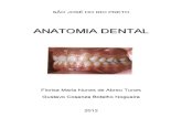 Apostila Anato Dental