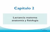 2.Lactancia materna anatomia y fisiologia.pdf