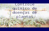 Controle químico de Doenças de Plantas
