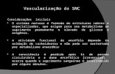VASCULARIZAÇÃO DO SISTEMA NERVOSO CENTRAL 2.pptx