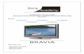 86762031 Treinamento TECNICO TV LCD Sony Bravia