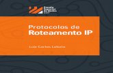 Protocolos de Roteamento IP