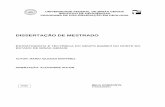 ESTRATIGRAFIA E TECTÔNICA DO GRUPO BAMBUÍ NO NORTE DO cp033473