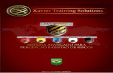 FATOR VESPA - Percepção de Riscos - [Xavier Training Solutions]