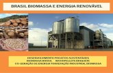 Biomassas brasileiras.