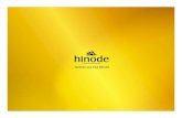 Plano de Marketing Hinode 2015