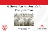 Apresentação workshop araguaína   cassiano pelle - gerente técnico delta gen