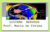 Sistema  Nervoso - Prof Maria de Fátima