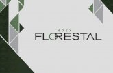 Flyer Index Florestal - Portugus