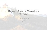 Bryan alexis muralles tubac